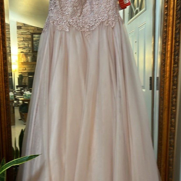 Pink PROM Dancing Queen Formal Gown Size 2XL NWT - Picture 9 of 15